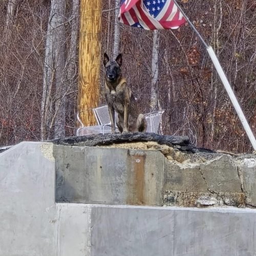 WhatsApp Image 2025-08-03 at 7.00.25 PM