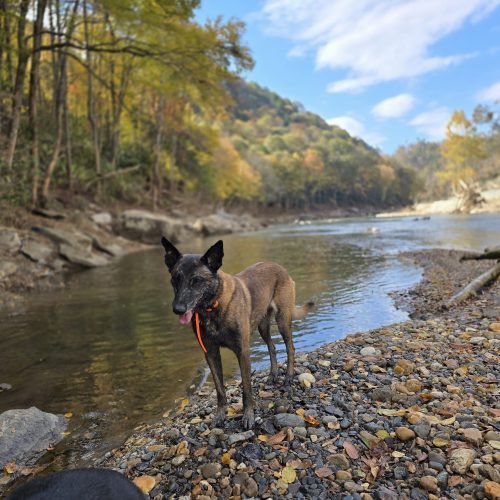 WhatsApp Image 2025-08-03 at 7.00.28 PM(3)